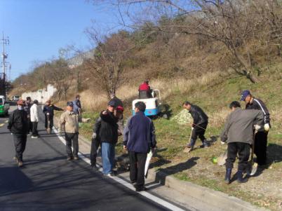 파장동 마을만들기 다시찾는 배나무골 조성